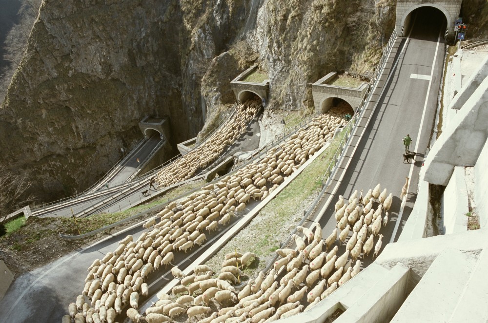 Groundswell: Constructing the Contemporary Landscape: Peter