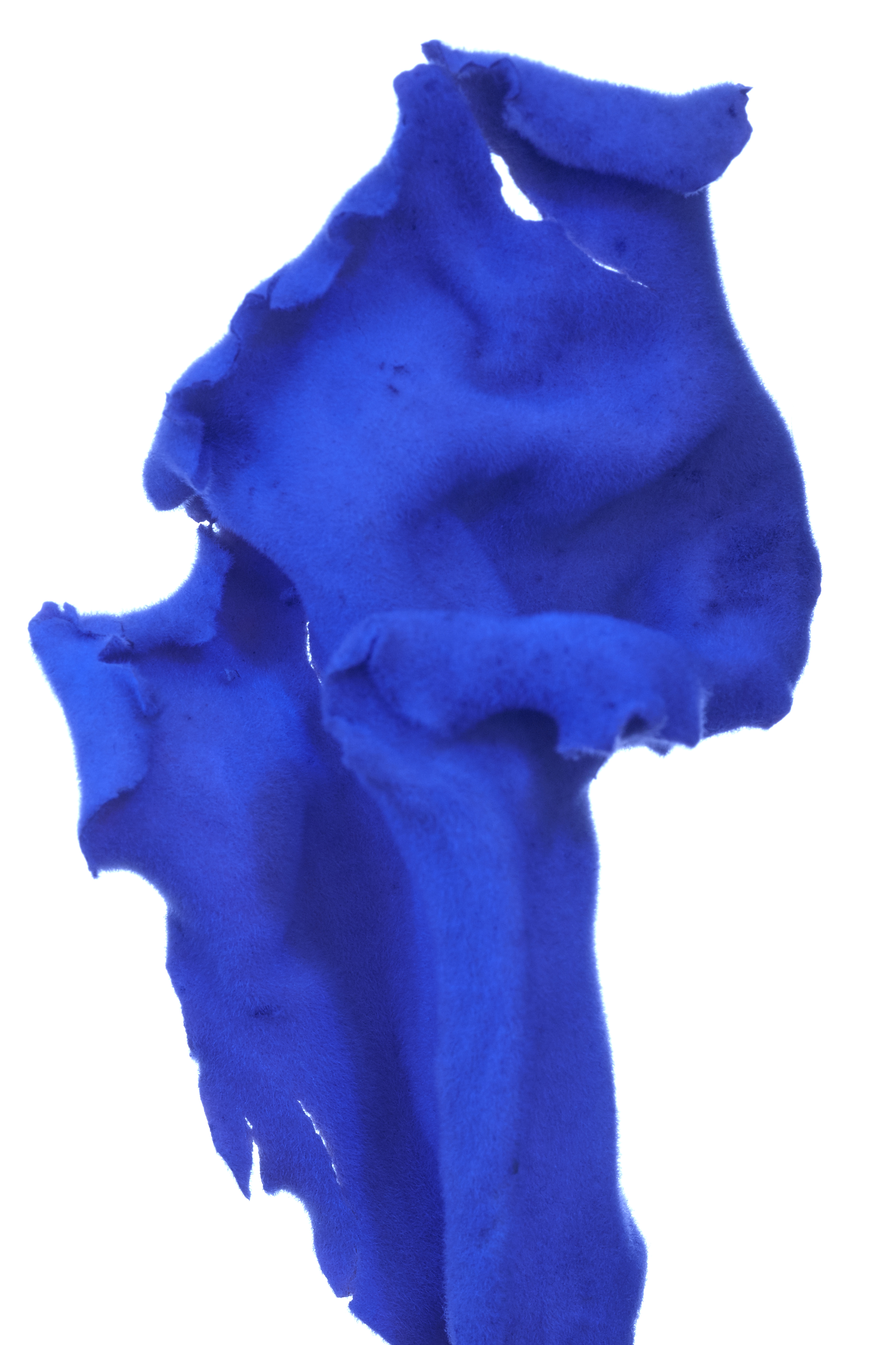 PIN–UP | INTO THE BLUE: THE VIBRANT HUES OF VILLA MAJORELLE