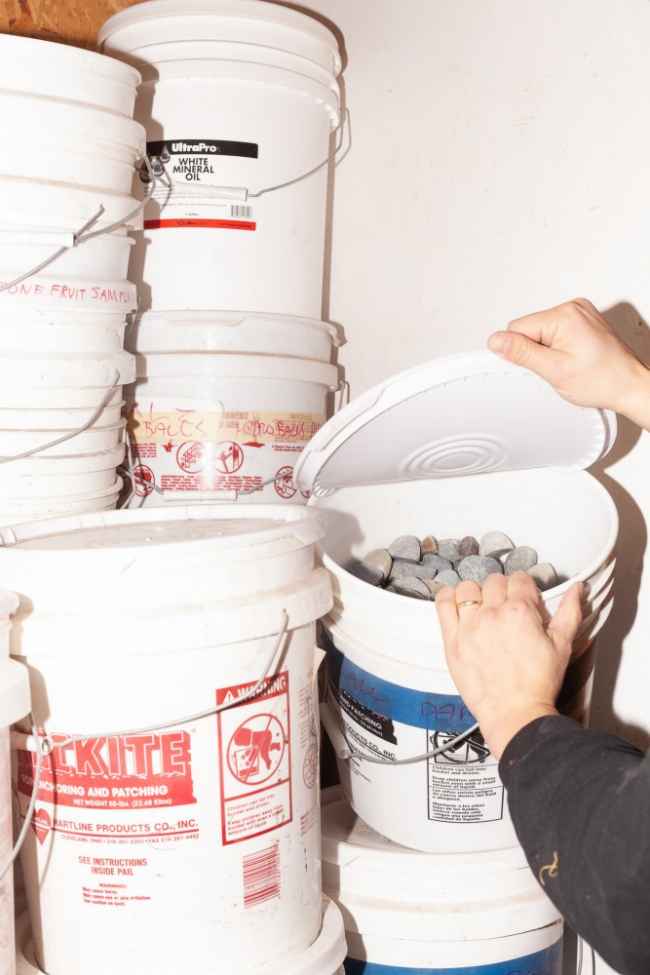 Thumbnail for ROCK STARS: Chen Chen and Kai Williams&rsquo;s new Mineral Explorations