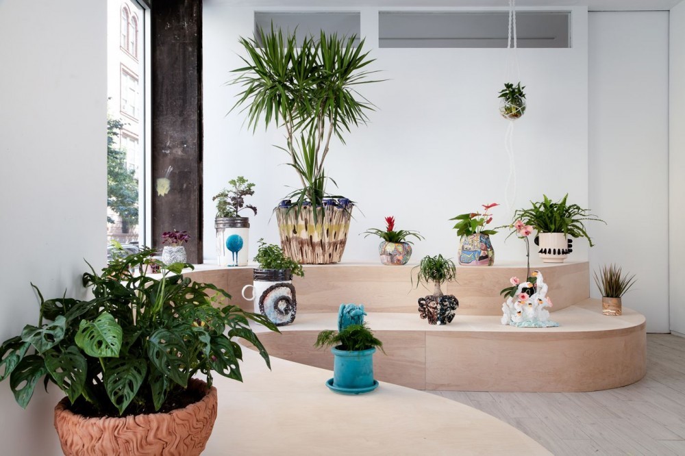 GREEN ROOM: The Planter Show Organized By Fort Makers Design Studio