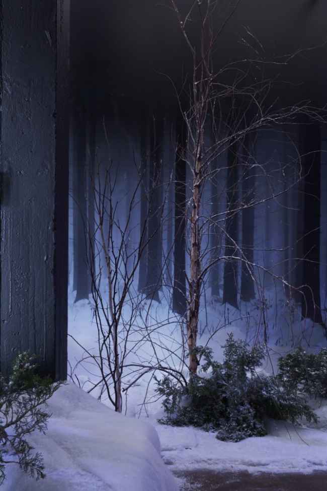 Thumbnail for BLACK FOREST BABYLON: AN Otherworldly Dinner Party In Los Angeles