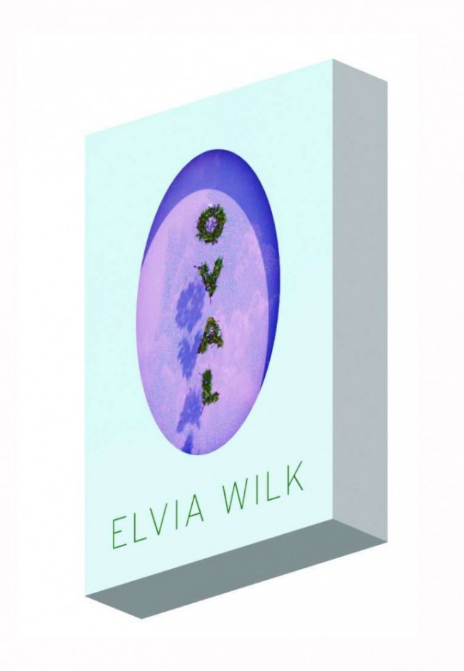 Thumbnail for NEW WEIRD BERLIN: Speculative Architecture In Elvia Wilk’s Novel