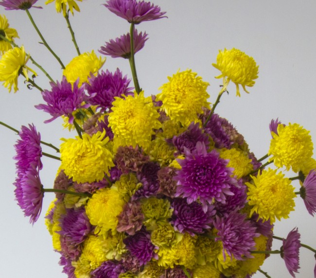 Thumbnail for BLOOM BOX: INTERVIEW WITH FLORAL ARTIST BRITTANY ASCH