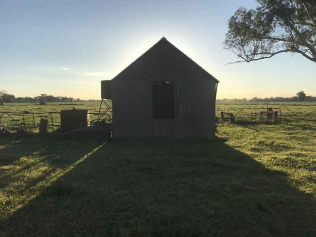 Thumbnail for BUSH ERA: Finding Solace in the Australian Outback