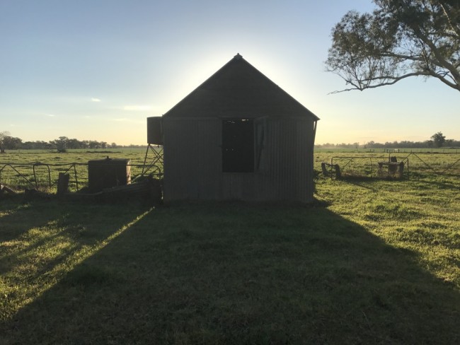 Thumbnail for BUSH ERA: Finding Solace in the Australian Outback