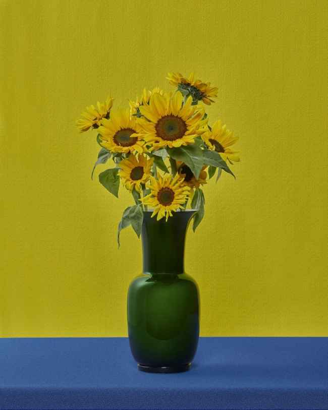 Thumbnail for DESIGN STORY: Sunflowers Are Fine