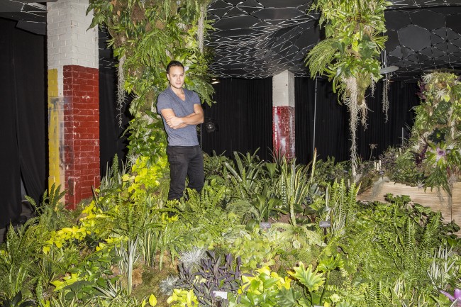 Thumbnail for DOWN LOW: PLANNING AN UNDERGROUND PARK IN NEW YORK CITY