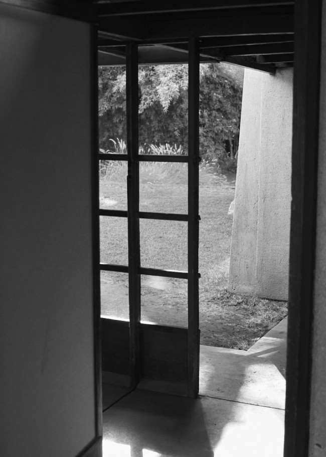 Thumbnail for SOFT SCHINDLER: Reflections on the House