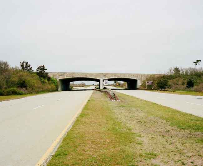 Thumbnail for LOW LIFE: Revisiting Robert Moses&rsquo;s Exclusionary Design Scheme At Jones Beach