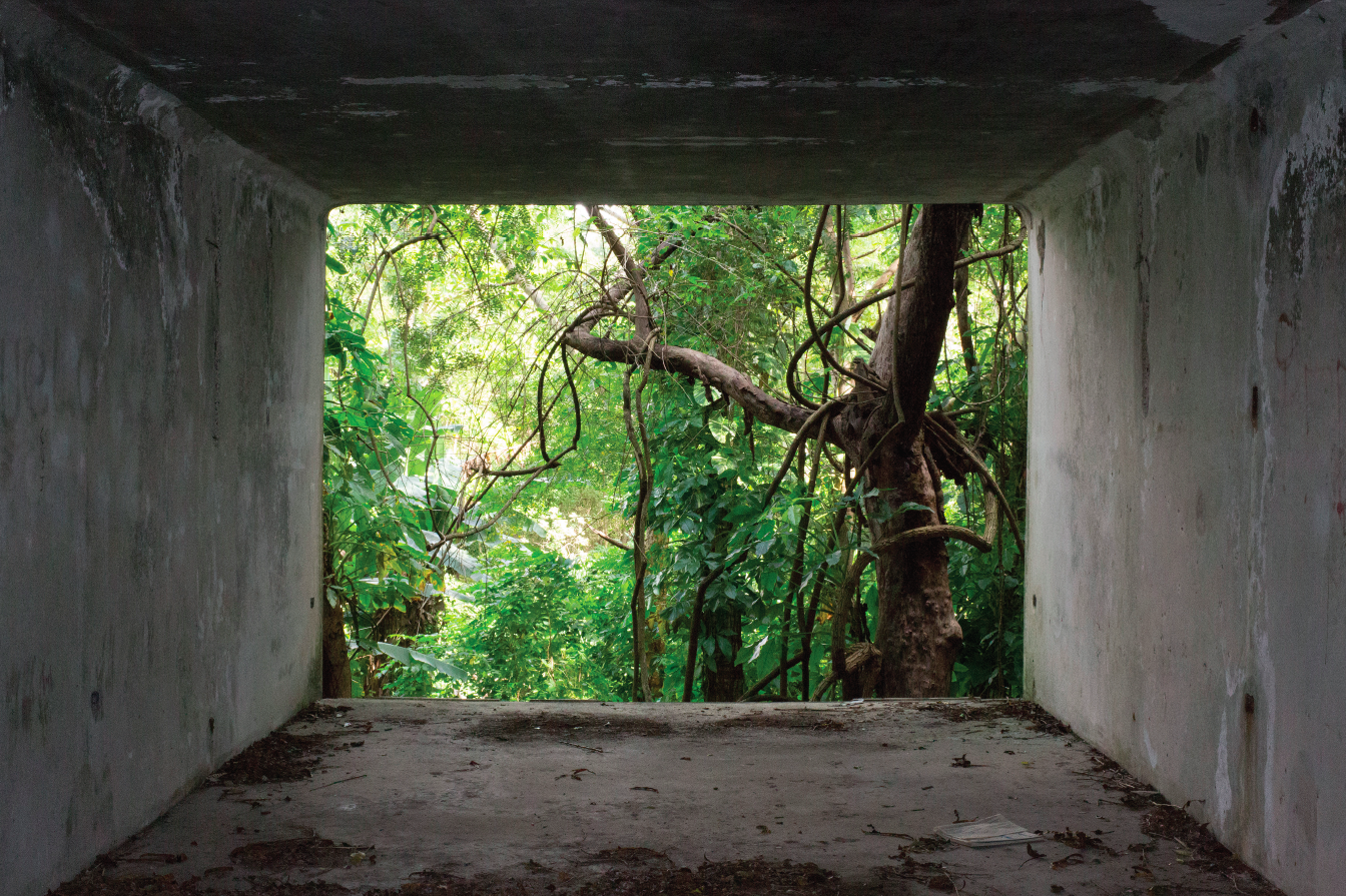 MODERN RUINS: AN ARTIST’S TAKE ON MOSHE SAFDIE’S PUERTO RICAN FOREST HABITAT