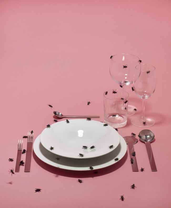 Thumbnail for PLEASURE PRINCIPLE: TERRESTRIAL TABLEWARE STILL LIFES